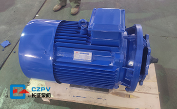 循環水泵離心泵電機